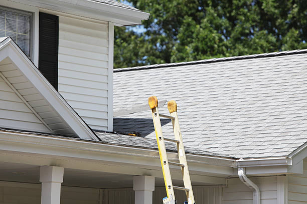 Siding for Commercial Buildings in Mill Creek, WA